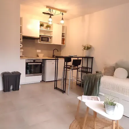 Cosy, Securisee, Parking Prive * Pau