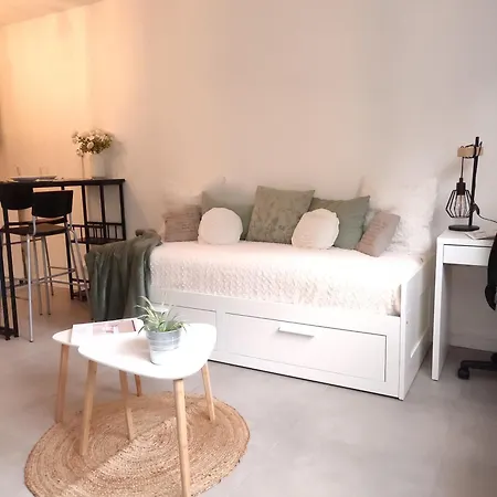 Cosy, Securisee, Parking Prive * Pau